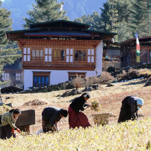 Bhutan Homestays Eco-tours