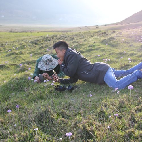 Bhutan Botanical Explorations